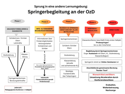 Organigramm Springerbegleitung