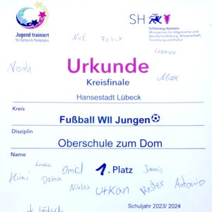 JtfO 1. Platz Kreisfinale Fußball WII